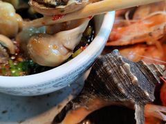 海螺-四海蒸鲜蒸汽海鲜自助(北戴河店)