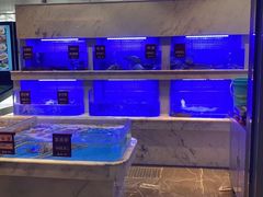 水产区-箸福·夜上海(雨花客厅店)