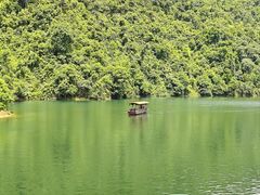 -鼎湖山风景区