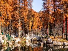 -东湖磨山景区