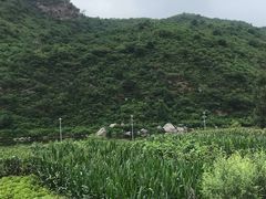 -白河湾山水缘民宿