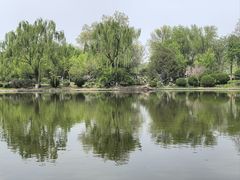 -石家庄市植物园