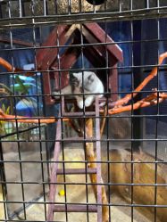 -酷嗒动物文化乐园(cutezoo西溪乐天城店)