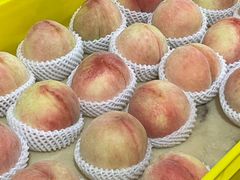 -老袁家蜜桃农场·阳山水蜜桃