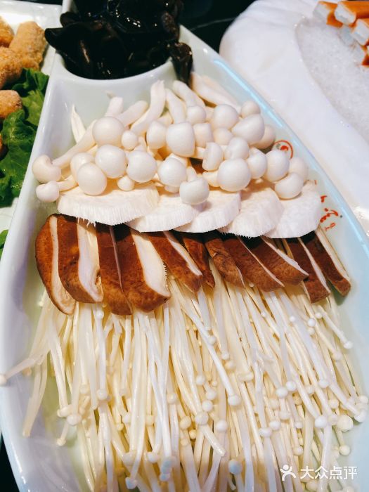 狼爱上羊音乐火锅菌菇拼盘图片