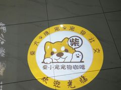 -柴源莊·柴小宠柴犬咖啡