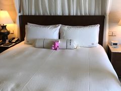 -惠州康帝国际酒店