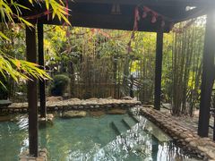 -崇阳三特浪口温泉