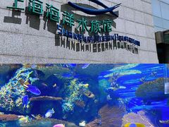 -上海海洋水族馆