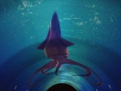 iphone_upload_pic-贝壳梦幻世界