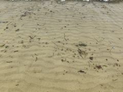 -那香海钻石沙滩浴场