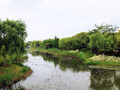 -尚贤河湿地