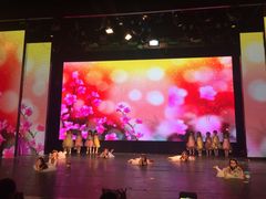 -美育儿童音乐舞蹈国际机构(浦东分校)