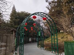 -黄村公园