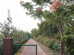 -菊园百果园