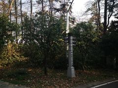 -潜山国家森林公园