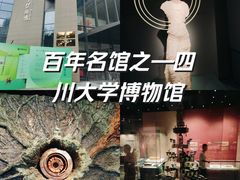 -四川大学博物馆