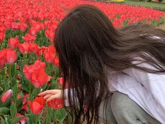 -杭州湾海上花田景区