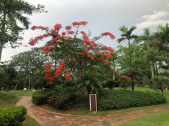 -海口绿发希尔顿酒店-田园汇自助餐·三文鱼·海鲜