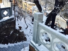 -高尔山公园