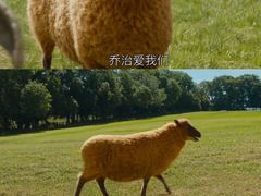 -飞扬影城(正佳IMAX店)