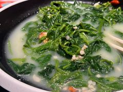 -羽鸽集·乳鸽专门店·地道顺德菜(岭南站店)