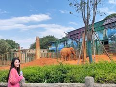 -昆明动物园