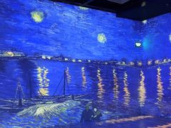 -梵高星空艺术馆(北京旗舰店)