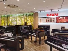 -柏斯琴行(汾阳店)