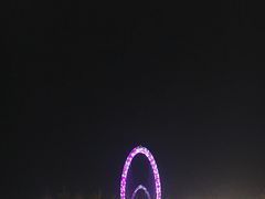-南京眼步行桥