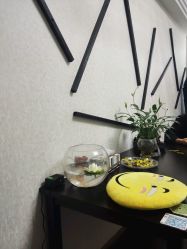 -onE Nice造型