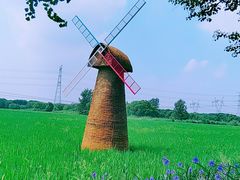 -嘉北郊野公园