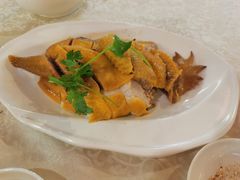 白切爽皮鸡-新东城喜宴海鲜酒家(同德店)