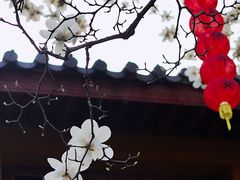 -杭州上天竺法喜讲寺