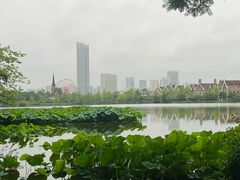 -成都南湖公园