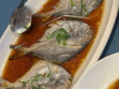 -闽海肴(北辰荟店)