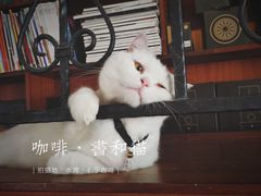 -彳亍咖啡·这里(水湾路店)