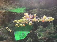 -常州海昌海洋探索馆