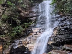 -墨尔本皇家植物园