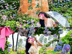 -天适樱花悠乐园