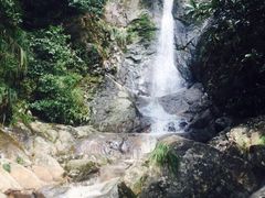 东天目山风景区-东天目山风景区