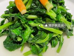 清炒豌豆尖-106餐厅(山水文园店)