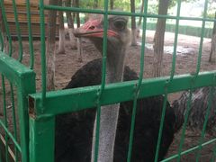 -长白岛森林公园