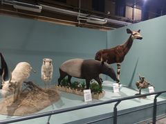 -国家自然博物馆