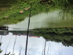 -广东财经大学(广州校区)