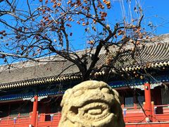 -北京石刻艺术博物馆(五塔寺)