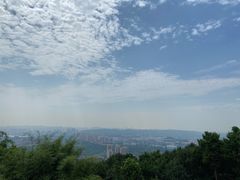 -铁山坪森林公园