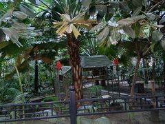 -黑龙江中医药大学附属第一医院