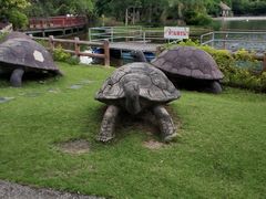 -清迈夜间动物园