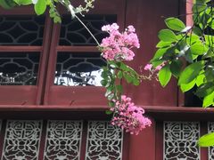 -东山雕花楼